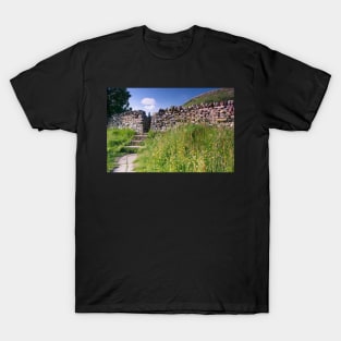 Stone Walls and Wildflowers at Muker Yorkshire Dales T-Shirt